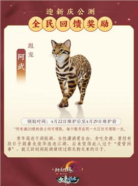 夜间天龙八部私服